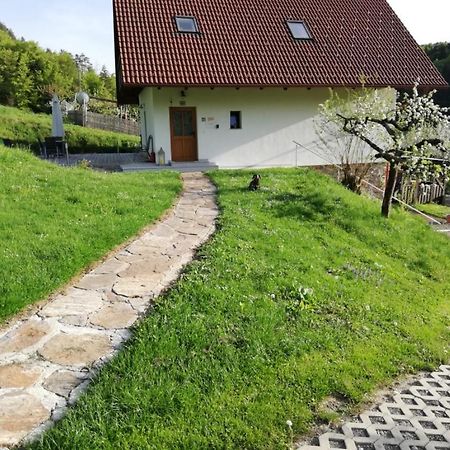 Bioferienhaus Muster - Dominkusch Possnitz Екстер'єр фото